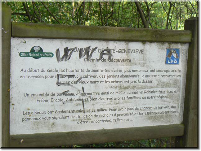 2011-05-01-BALADE-STE GENEVIEVE-015.jpg